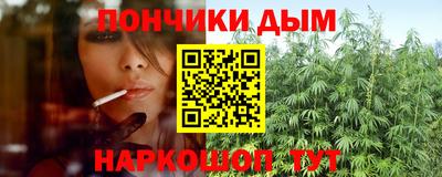 прущие грибы Новокубанск