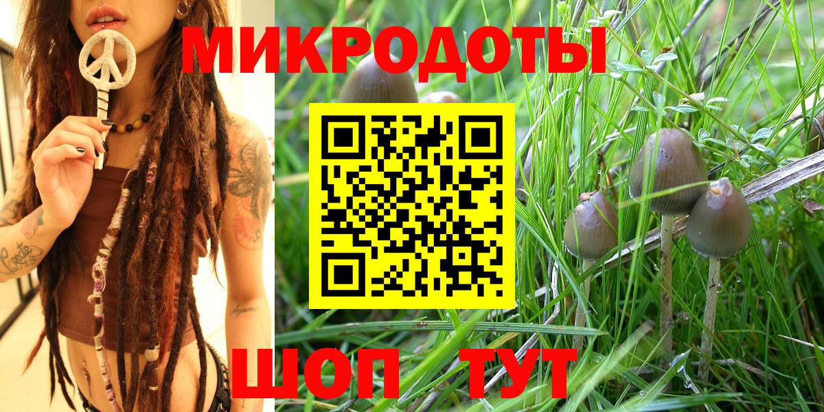 Псилоцибиновые грибы MAGIC MUSHROOMS  сколько стоит  Вход с VPN  Симферополь  Галлюциногенные грибы Psilocybine cubensis 